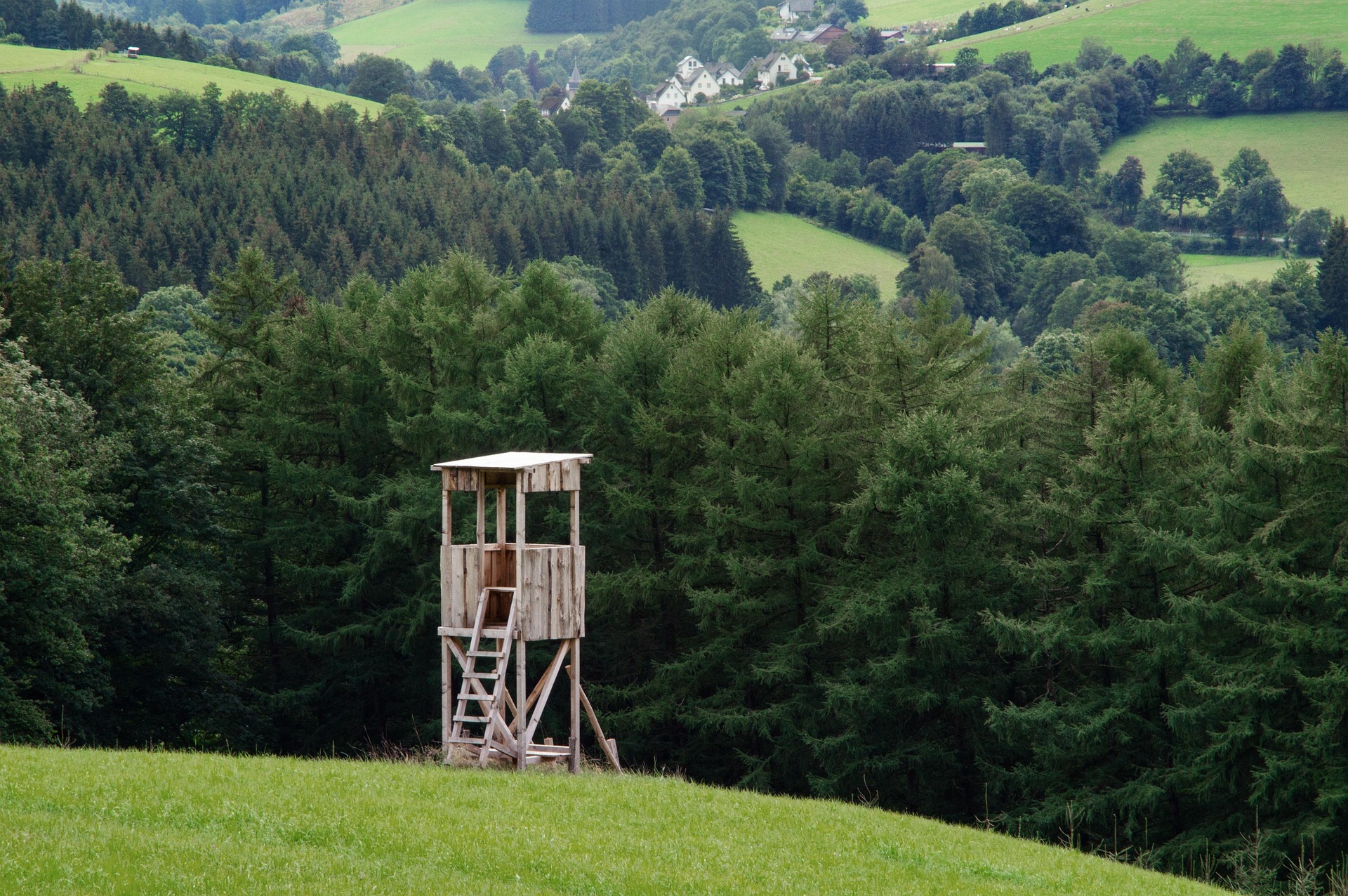 Elevated hunting blind overlooking a forested valley